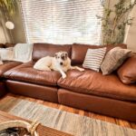 Best Sofa Beds Australia: Top 5 Features to Compare Before Visiting a Furniture Outlet